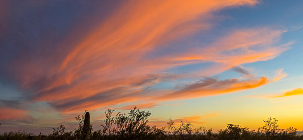 Don Donnelly&apos;s D-spur Ranch and Stables